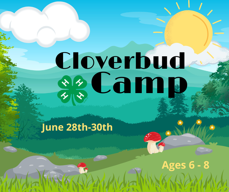 Cloverbud Camp June 28 -30  Ages 6-8